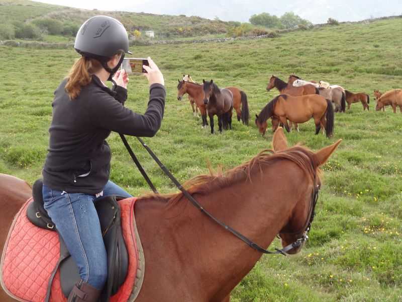 Yoga and Horse Riding Retreat in Peneda Geres National Park 8 Days 