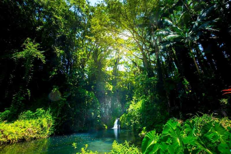 5 Day Replenish Retreat
