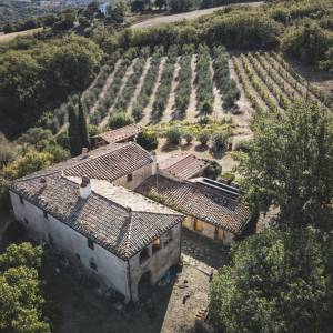 Farm & countryside venues
