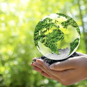 Sustainable Stays