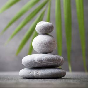 Wellness & Spa