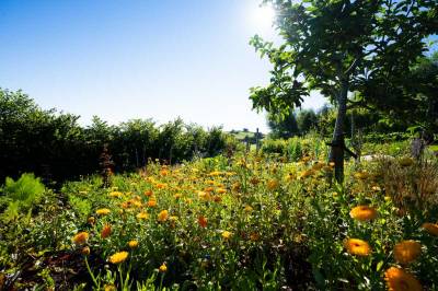 Eden Rise Retreat Venue, Harberton