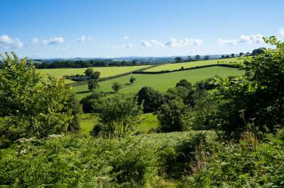Eden Rise Retreat Venue, Harberton