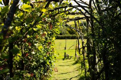 Eden Rise Retreat Venue, Harberton