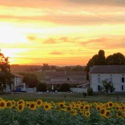 The French Retreat, Bordeaux Region