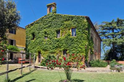 Fattoria di Pietra, Gavorrano
