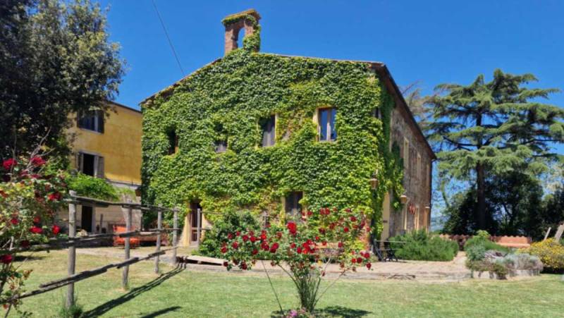Fattoria di Pietra, Gavorrano