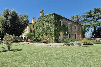 Fattoria di Pietra, Gavorrano