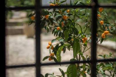 Villa Cammaratini Luxury Sicilian Villa, Modica