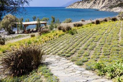 Beach House Arvi East on Crete, Iraklio