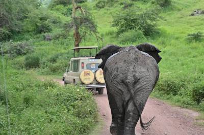 Tanzania Soul Retreat, Iringa
