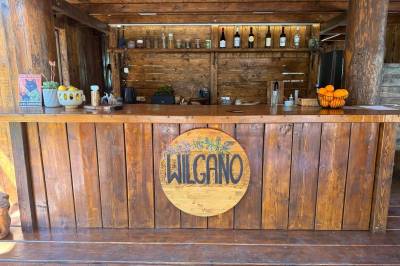 Wilgano, Drušići