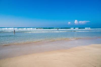 Green Peace Inn - Vegan Beachfront Retreat Venue, Weligama