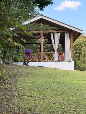 Our Lovely Ananda Pavilion, Balance Point Wellness Belize, Bullet Tree Falls