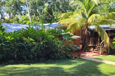 Welcome guests, Balance Point Wellness Belize, Bullet Tree Falls