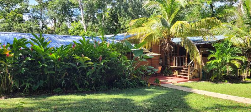 Welcome guests, Balance Point Wellness Belize, Bullet Tree Falls