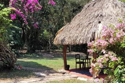 Our dining gazebo for guests and groups, Balance Point Wellness Belize, Bullet Tree Falls