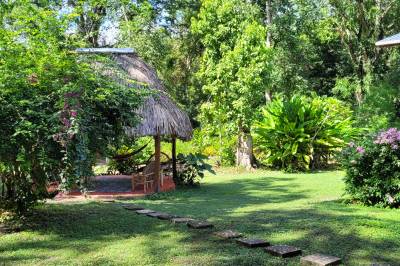 Back garden, Balance Point Wellness Belize, Bullet Tree Falls